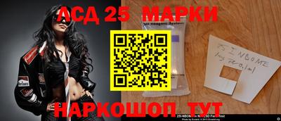 Альфа ПВП Ачхой-Мартан