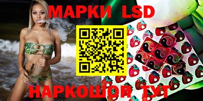Альфа ПВП Ачхой-Мартан