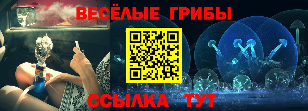 Грозный  Псилоцибиновые грибы ЛСД  Вход с VPN 