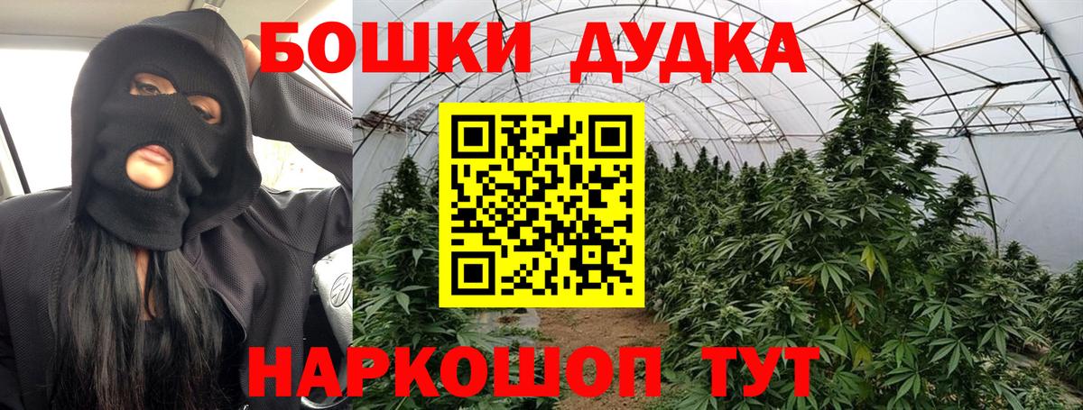 Шишки марихуана MAZAR  Вход с VPN  Грозный  Марихуана ГИДРОПОН 
